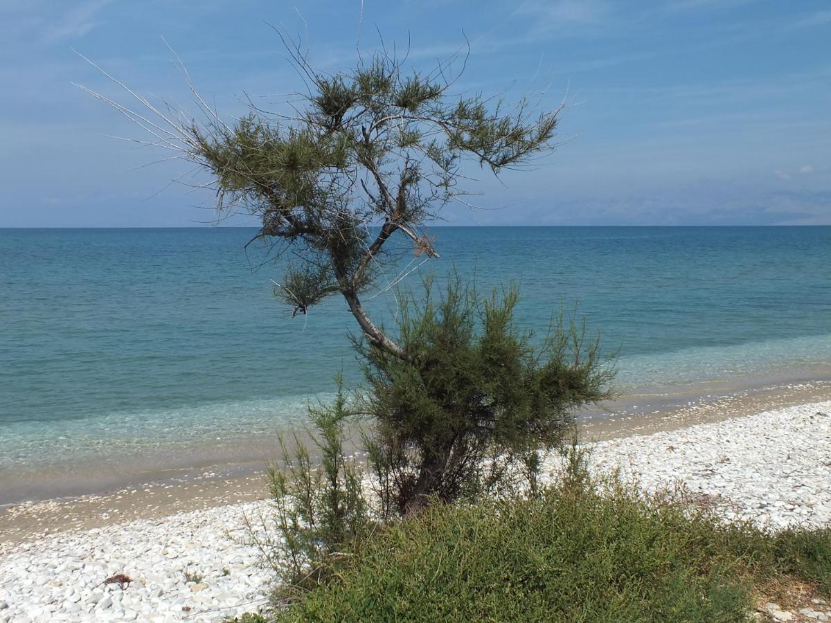 Frosos Beachfront Maisonette Acharavi 아카라비 외부 사진